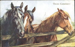 Two's Company Horses Postcard Postcard