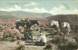 A Social Game In The Sesert Postcard