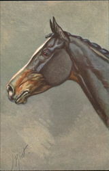 Horse Horses Postcard Postcard