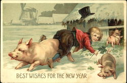 Best Wishes For The New Year Pigs Postcard Postcard