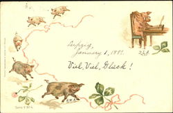 German Pigs Postcard