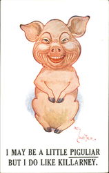 I May Be A Little Piguliar But I Don Like Killarney Pigs Postcard Postcard