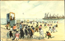 Black Pigs at Beach Postcard