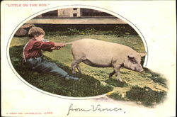 Little On The Hog Postcard