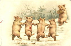 Dancing Pigs Postcard Postcard