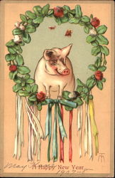 A Happy New Year Pigs Postcard Postcard