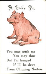A Lucky Pig Postcard