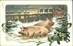 Pigs Postcard