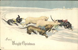 For A Bright Christmas For A Bright Christmas