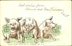 Good Luck Postcard