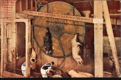 Stock #179184 Thumbnail