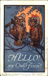 Hello! My Owl'D Friend! Birds Postcard Postcard