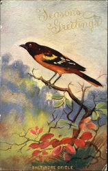 Seasons Greetings Postcard