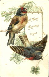 A Merry Christmas To You Postcard