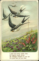 Birds Postcard