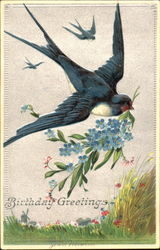 Birthday Greetings Postcard