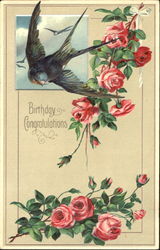 Birthday Congratualtions Postcard