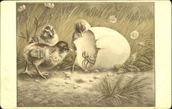 Chicks w/Grasshopper Postcard