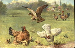 Owl & Chickens Owl & Chickens
