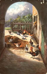 Chickens Postcard