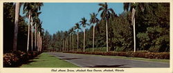 Club House Drive, Hialeah Race Course Florida Large Format Postcard Large Format Postcard