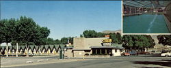 Motel Scott Shady Court, P. O. Box 672 Winnemucca, NV Large Format Postcard Large Format Postcard