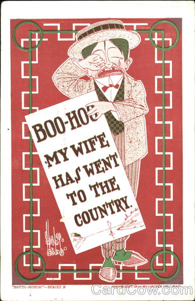 Boo-Hoo My Wife Has Went To The Country Comic, Funny