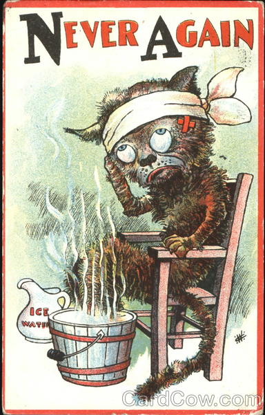 Never Again Drinking