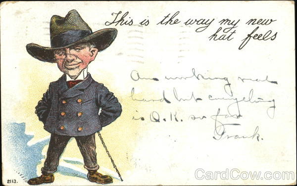 This Is The Way My New Hat Feels Comic, Funny