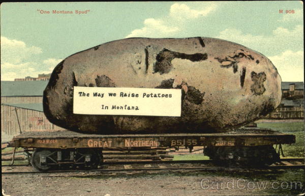 One Montana Spud Exaggeration