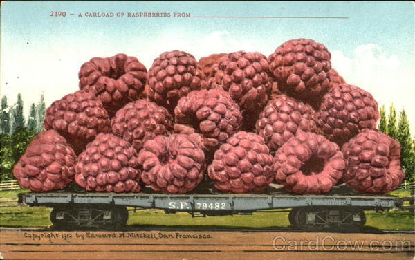A Carload Of Raspberries Exaggeration
