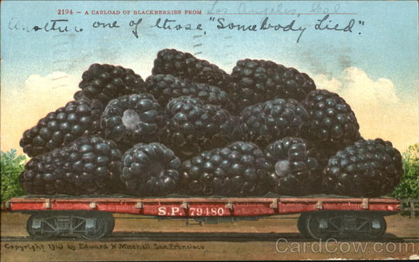 A Carload Of Blackberries From Los Angeles California
