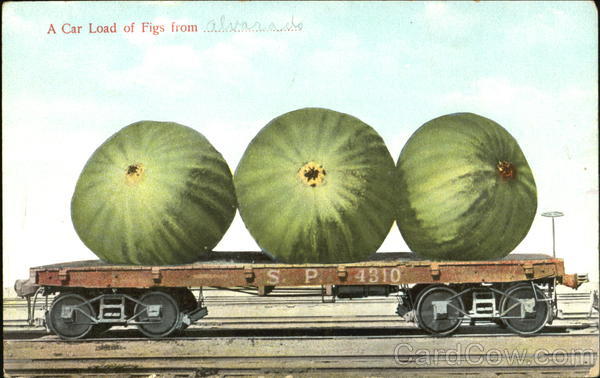 A Car Load Of Figs From Alvarado Exaggeration