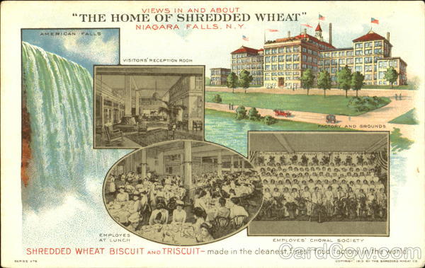Views In And About The Home Of Shredded Wheat Niagara Falls New York