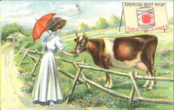 Red Cross Brand Condensed Milk Advertising