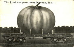 The Kind We Grow Near Nevada The Kind We Grow Near Nevada
