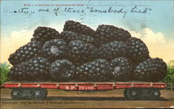 A Carload Of Blackberries From Los Angeles Postcard