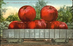 A Carload Of Apples From Hood River Oregon Postcard Postcard