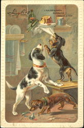 Stock #179669 Thumbnail