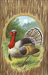 Thanksgiving Greetings Postcard
