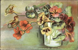Compliments Of Miss Emma V White Postcard