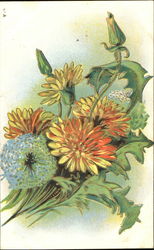 Floral Postcards Postcard