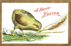 Stock #179964 Thumbnail