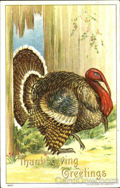 Thanksgiving Greetings Turkeys