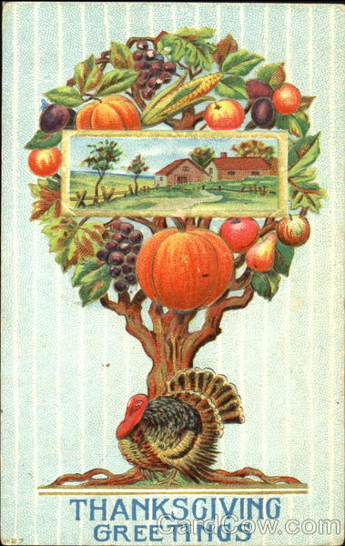 Thanksgiving Greetings Turkeys