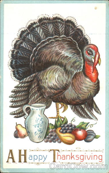 A Happy Thanksgiving Turkeys