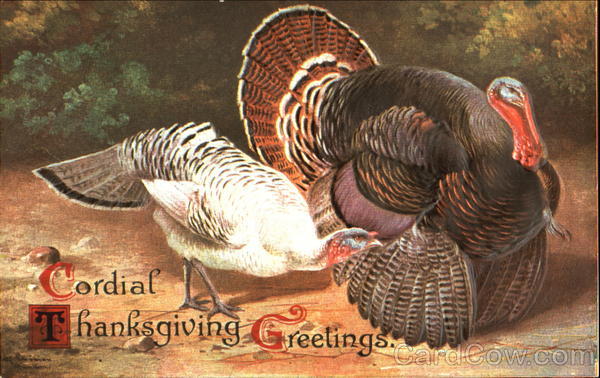 Cordial Thanksgiving Greetings Turkeys