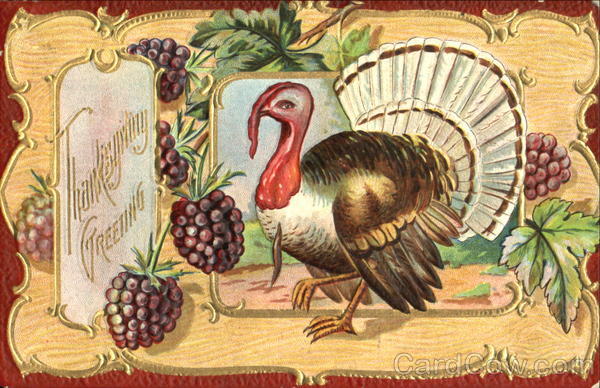 Thanksgiving Greeting Turkeys