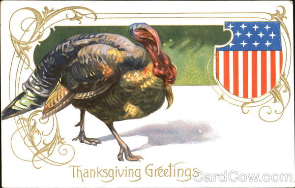 Thanksgiving Greetings Turkeys