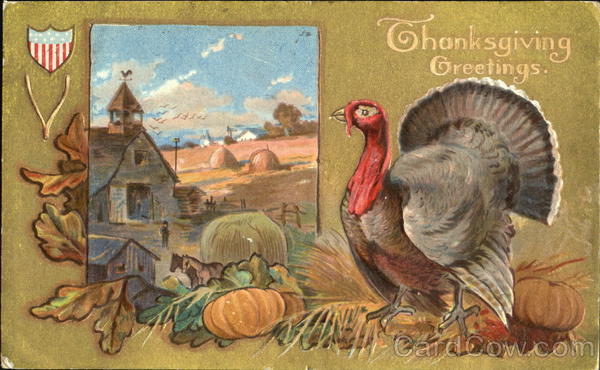 Thanksgiving Greetings Turkeys